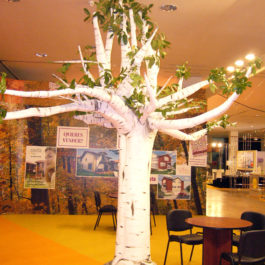 Árbol